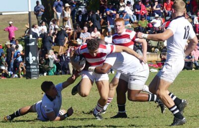 Hilton College and Michaelhouse favoured in Gauteng